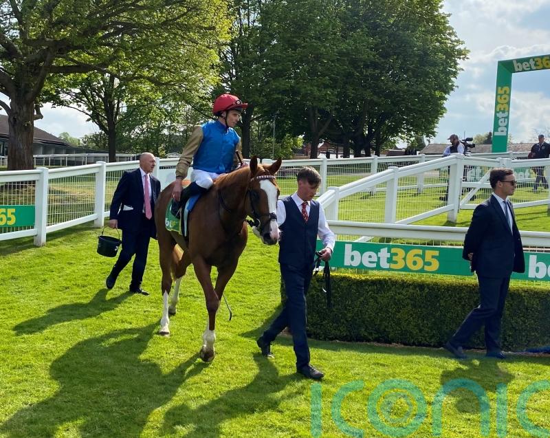 Damysus set to put Derby credentials on the line in Dante