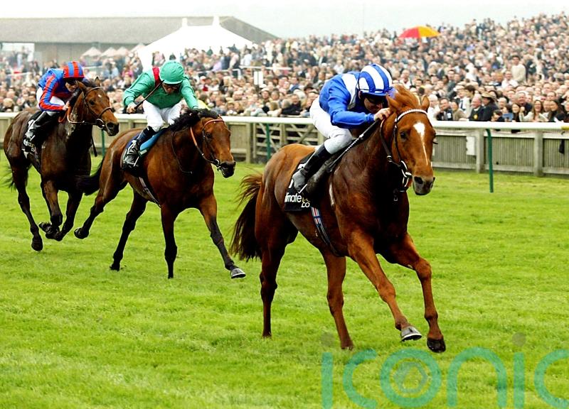 Hills backing Field Of Gold to emulate exploits of Haafhd