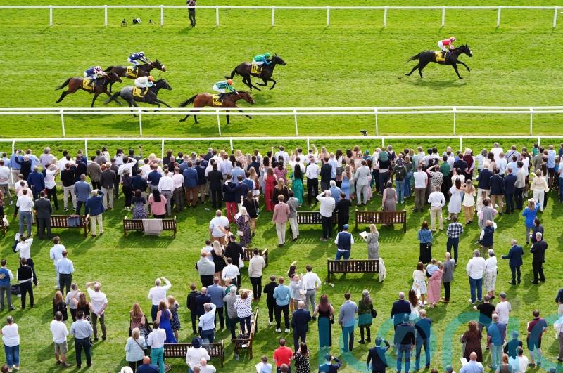 Duty First team excited to take Guineas plunge on Sunday