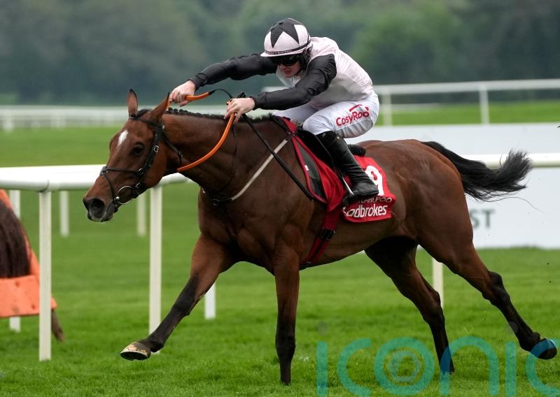 Teahupoo delivers again for Gordon Elliott