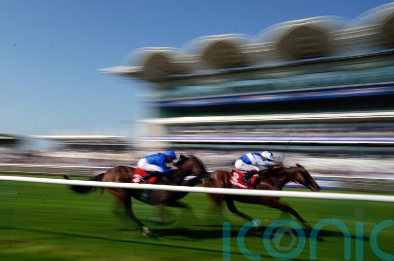 Bellum Justum seals Royal Ascot ticket