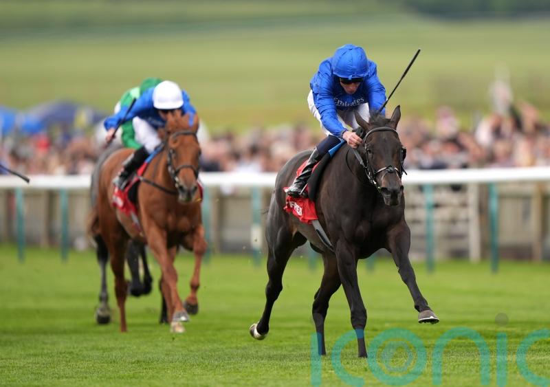 Cinderella&rsquo;s Dream blooms in Dahlia test