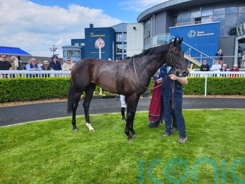Albert Einstein looks very smart in winning debut at Naas