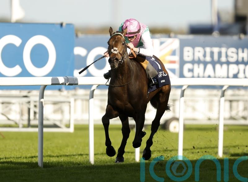 Kalpana has Irish alternative after scope scuppers Middleton plan