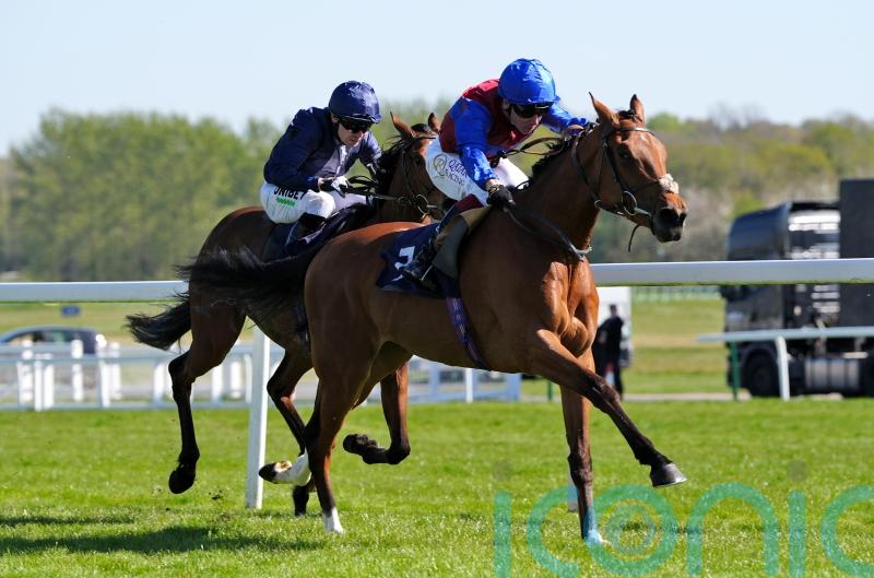 Serenity Prayer out to ascend to greater heights in Musidora bid