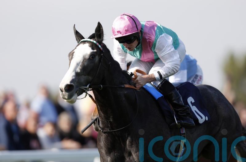 Keep the faith with York Eyecatcher Nightwalker