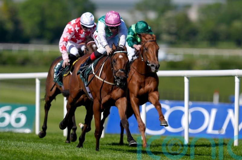 Babouche back on song to set up Commonwealth Cup bid