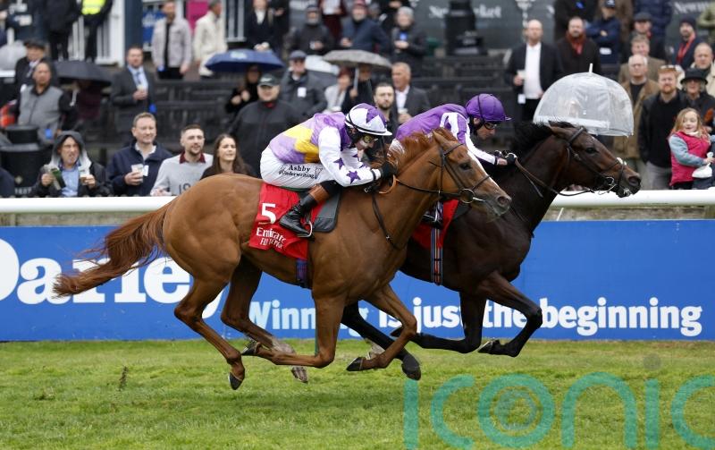 Stanhope Gardens could book his Derby ticket on Saturday