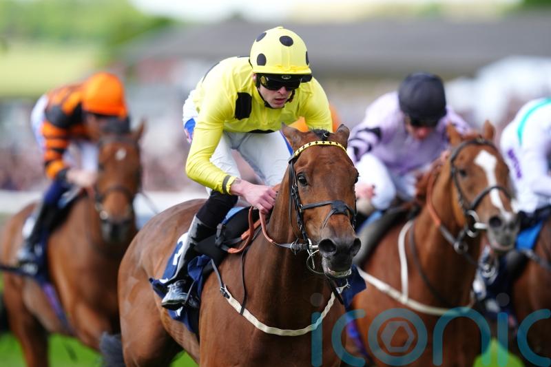 Liberty Lane sparks Festival celebration