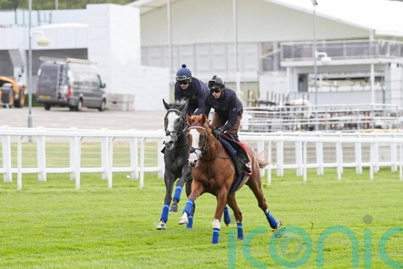 Damysus and Nightwalker pass muster in Epsom gallop