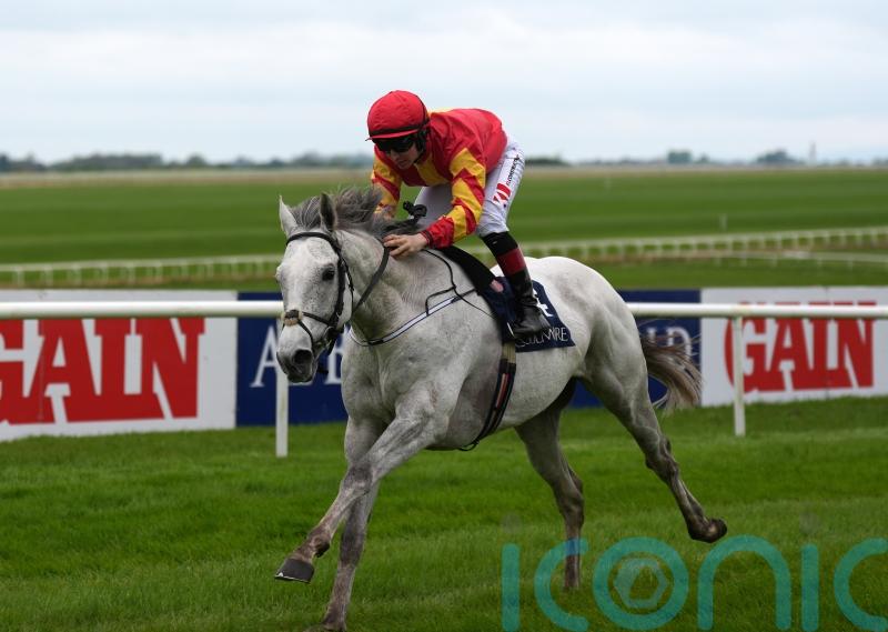 Prince of Wales&rsquo;s Stakes an option for White Birch