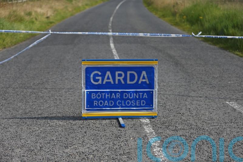 Teenager dies after Co Kildare crash