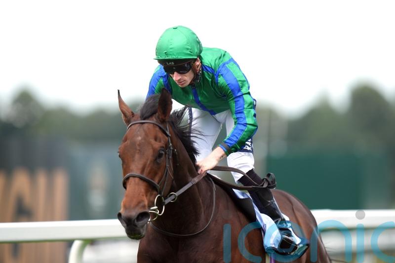 Urban Lion sets up Royal Hunt Cup tilt with Sandown success