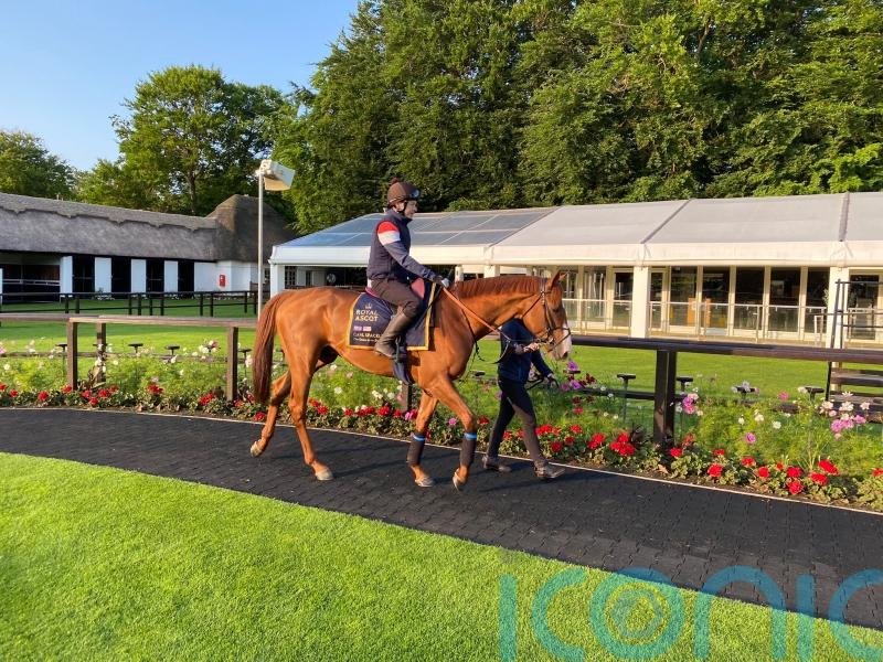 Carl Spackler adds truly international flavour to Queen Anne cracker