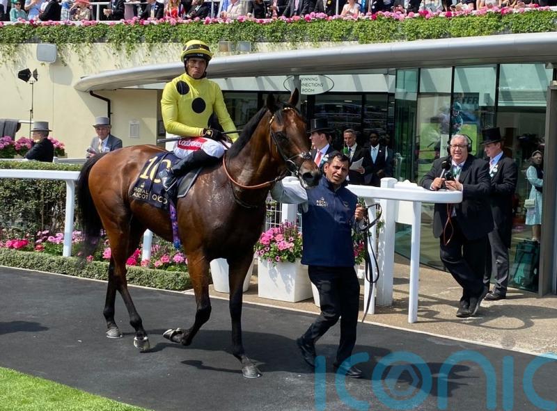 Ascot heartbreak for Hannon as Rosallion just eclipsed