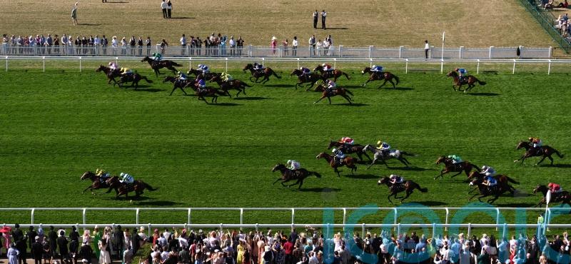 My Cloud overshadows the rest in Royal Hunt Cup