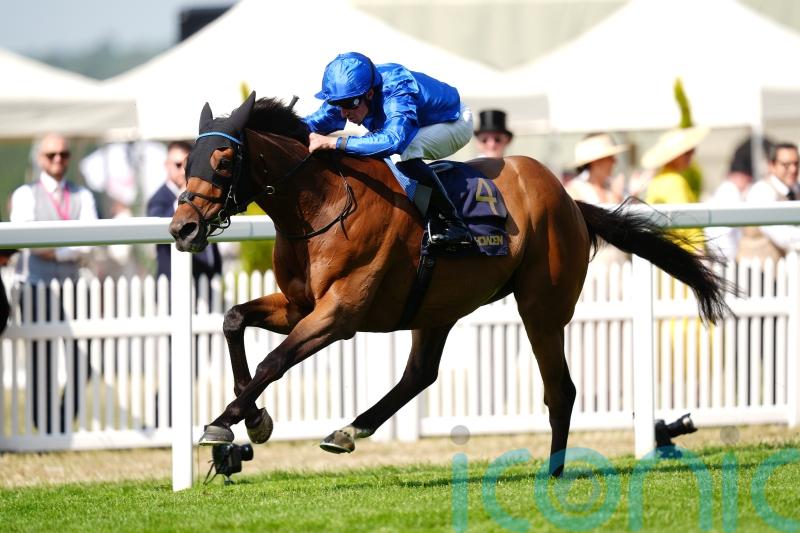 Trawlerman comes of age with Gold Cup haul