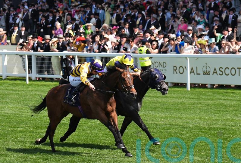 Goldie cool on idea of Goodwood for American Affair