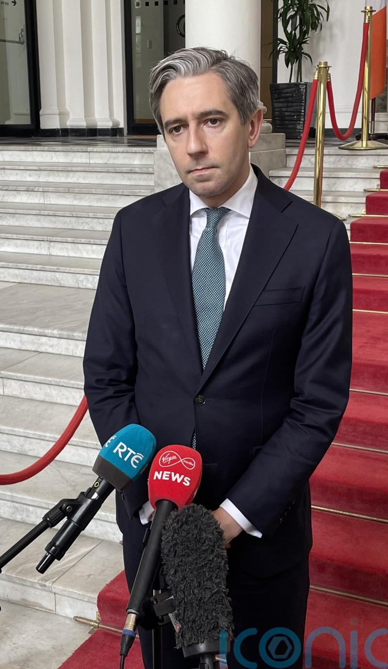 Irish deputy premier to attend EU ministers summit in wake of US attack on Iran