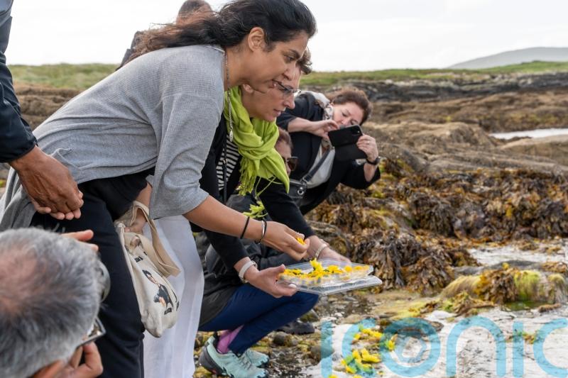 Relatives of 1985 Air India crash victims lay wreaths at ceremony in West Cork