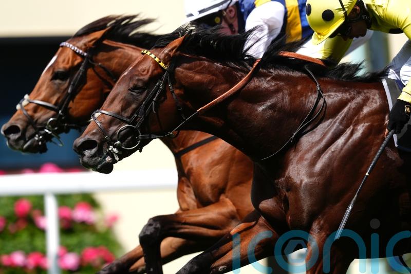 Champions Day seen as an &lsquo;obvious&rsquo; target for Docklands