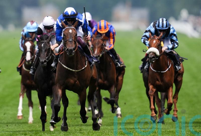 Options aplenty for impressive Albany heroine Venetian Sun