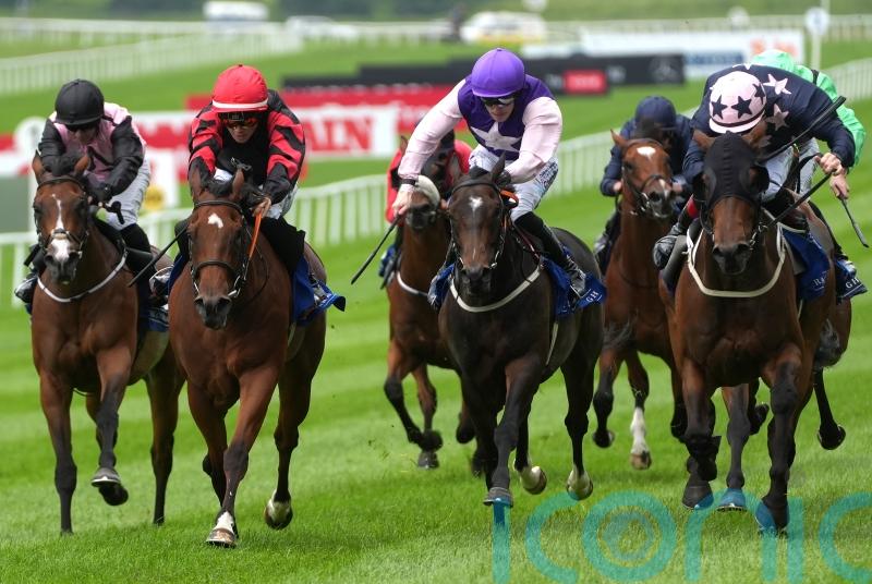 Vespertilio pips My Mate Alfie in Dash thriller