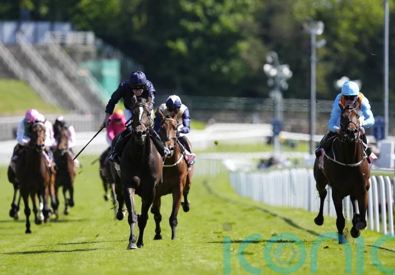 Lazy Griff not guaranteed to run again before Leger bid