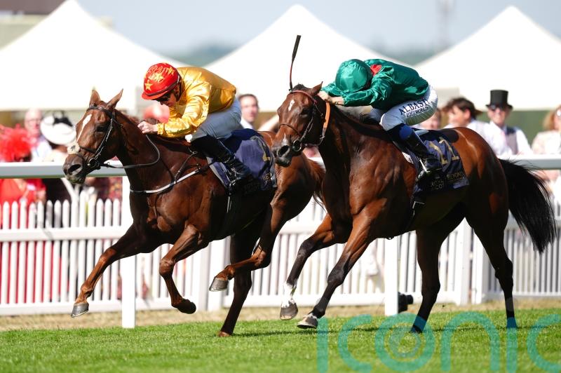 Nassau now looks set to be next for Cercene