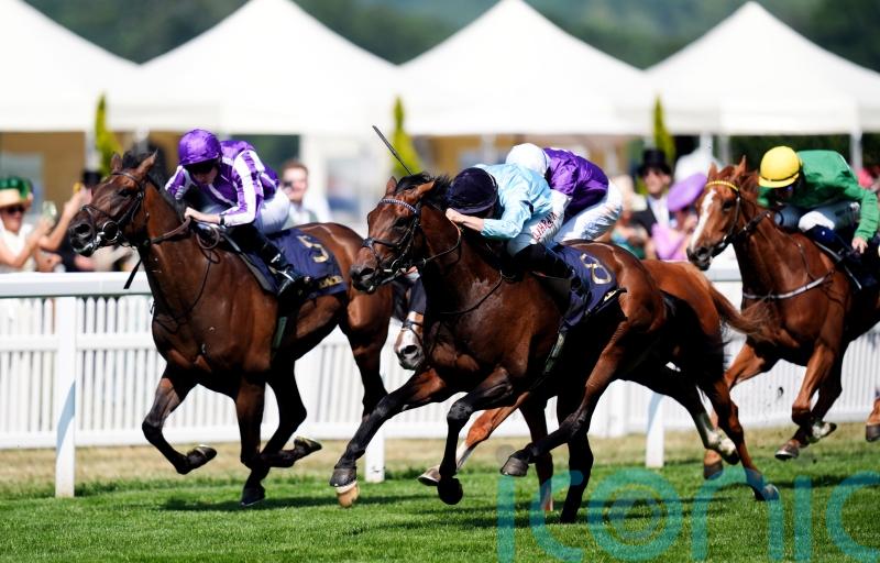 Merchant camp planning to stick to Goodwood route