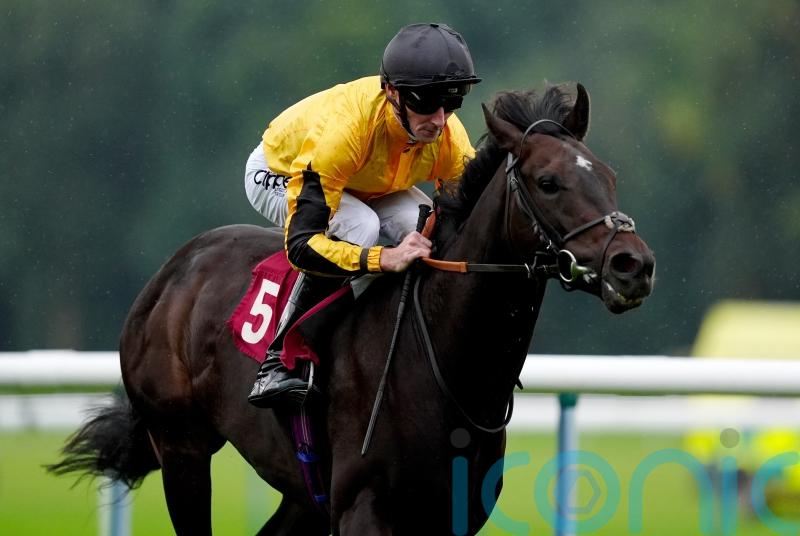 Luther handed more international targets