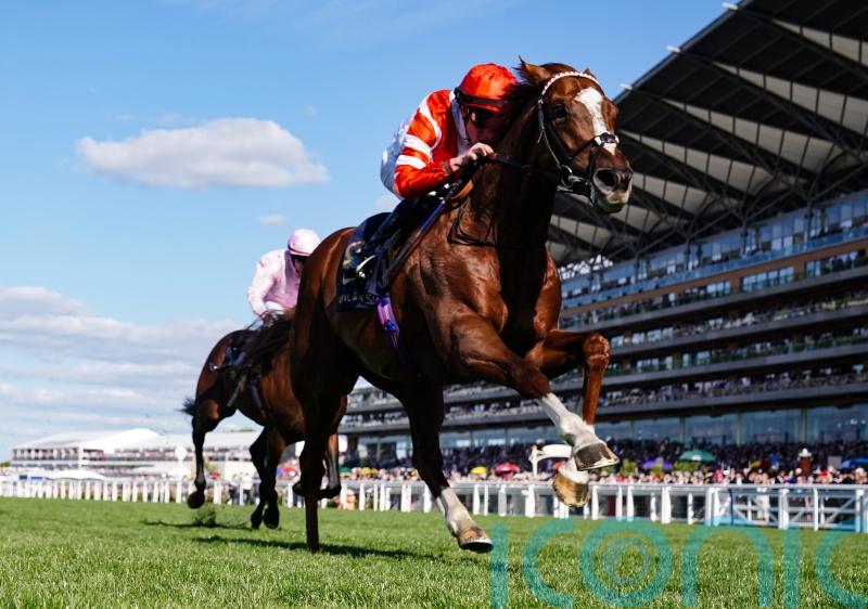 Charlton expects York trip to suit Hand Of God