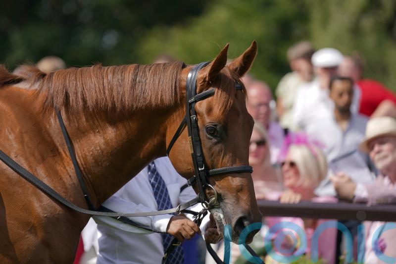 Saba Desert swoops for Superlative strike