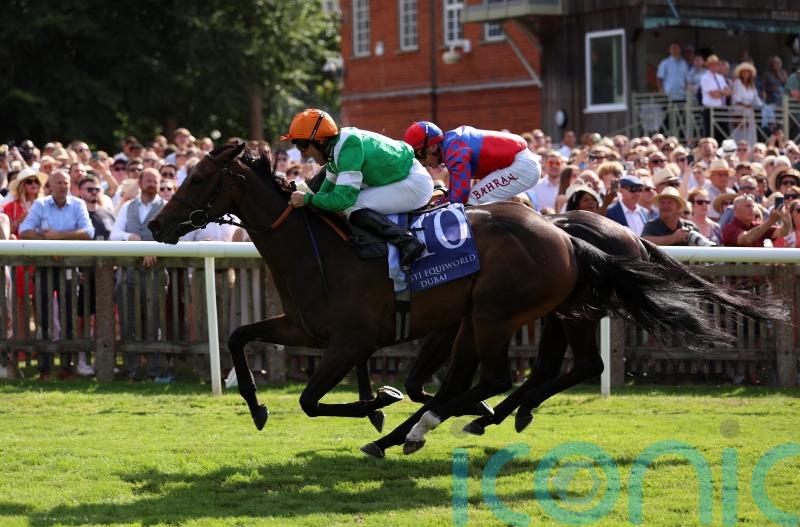 No Half Measures stuns July Cup rivals