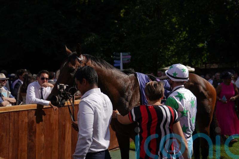 Candy still sweet on big sprint prizes for evergreen Run To Freedom