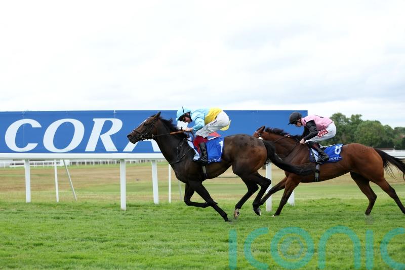 Portman hoping to make Rum point at the Curragh