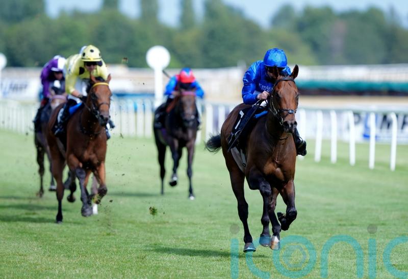 Wise Approach makes his mark in Newbury feature