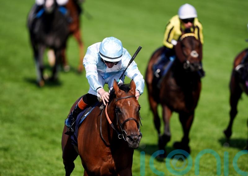 Connections opt to miss the King George with Amiloc