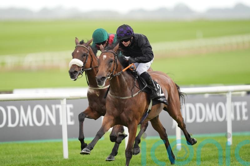 One Look is all it takes for Twomey filly to star at the Curragh