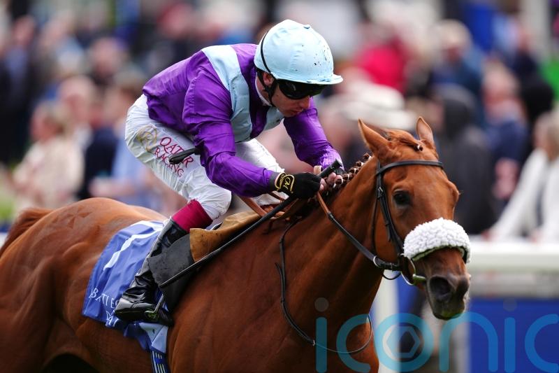 See The Fire primed to go one better than last year at Goodwood