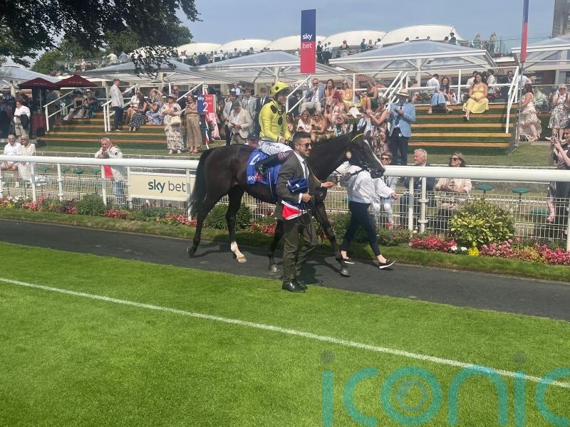 Royal Champion too good for Almaqam in York Stakes