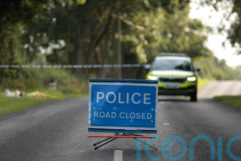 Appeal for movements of car night before mother and two children were killed