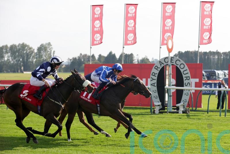 Naas triumph has Sky Majesty camp thinking big