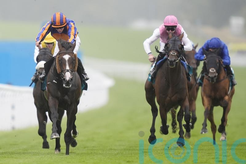 Scandinavia sees off Illinois for Ballydoyle one-two in Goodwood Cup