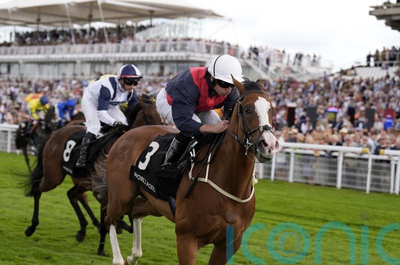 Lady Iman makes light work of Molecomb task