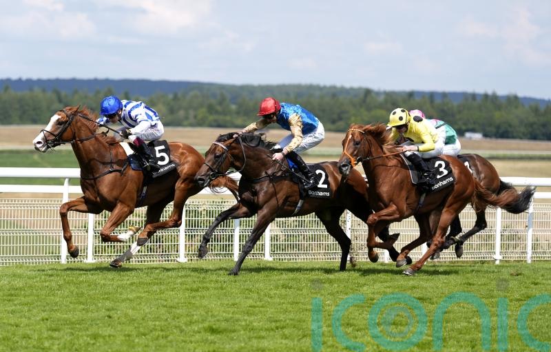 Seagulls Eleven flies home for Thoroughbred triumph