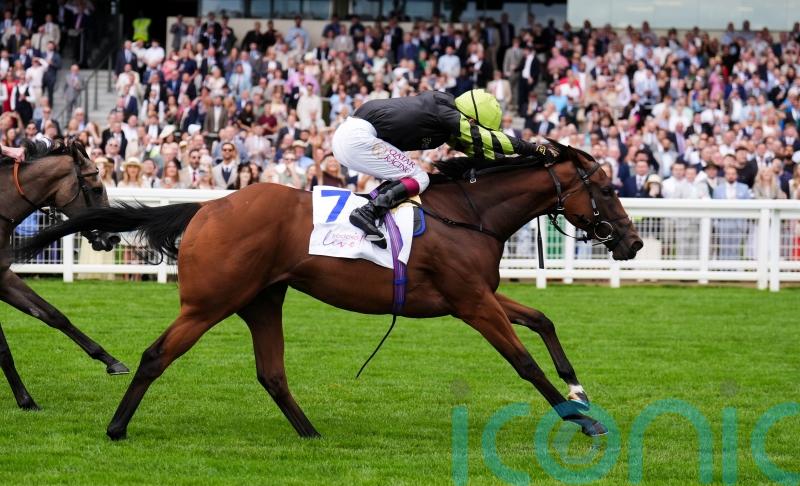 Palmer considering Deauville or Newmarket for Fitzella