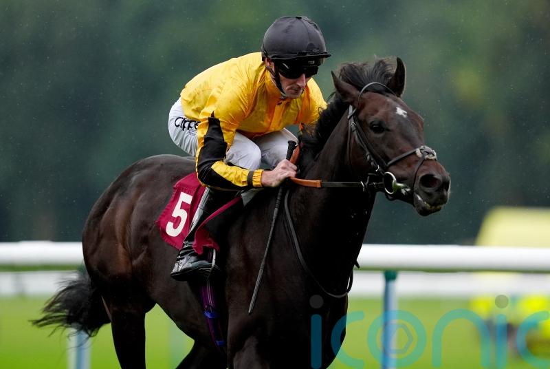 Golden Eagle swoop in the pipeline for globetrotting Luther