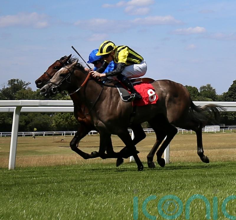 Staya firmly on course for Lowther test