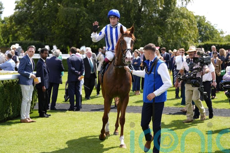 Return to Goodwood possible for Seagulls Eleven